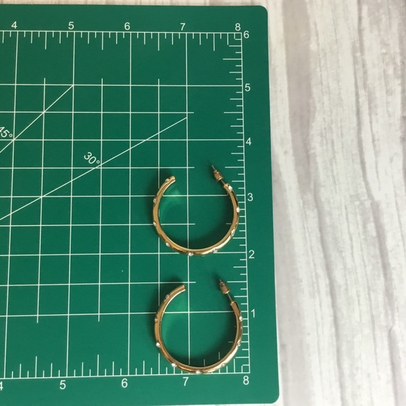 Alison Lou J. Crew Gold Tone and Crystal Hoop Earrings - Picture 6 of 8